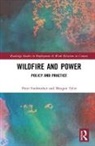 Peter Fairbrother, Peter (Cardiff University) Tyler Fairbrother, Peter (Rmit University Fairbrother, Peter (Rmit University Australia) Tyl Fairbrother, Peter Tyler Fairbrother, Fairbrother Peter... - Wildfire and Power
