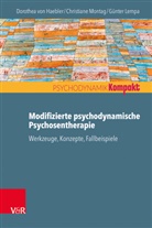 Dorothea von Haebler, Le, Gü Lempa, Günter Lempa, Christiane Montag, Dorothea von Haebler - Modifizierte psychodynamische Psychosentherapie