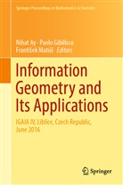 Nihat Ay, Paol Gibilisco, Paolo Gibilisco, Franti¿ek Matú¿, Frantisek Matús, František Matúš - Information Geometry and Its Applications
