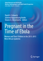 Sharon A Abramowitz, Sharon A. Abramowitz, Julienne N. Anoko, Julienne Ngoundoung Anoko, Julienn Ngoundoung Anoko, Julienne Ngoundoung Anoko... - Pregnant in the Time of Ebola