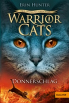 Erin Hunter, Anja Hansen-Schmidt - Warrior Cats - Der Ursprung der Clans. Donnerschlag