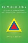 David J. Besley - Trimodology