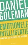 Daniël Goleman - Emotionele intelligentie