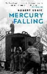 Robert Edric - Mercury Falling