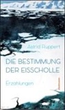 Astrid Ruppert - Die Bestimmung der Eisscholle