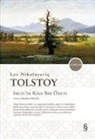 Lev Nikolayevic Tolstoy - Incilin Kisa Bir Özeti
