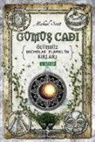 Michael Scott - Gümüs Cadi