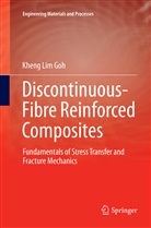 Kheng Lim Goh - Discontinuous-Fibre Reinforced Composites
