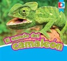 Eric Doty - El Mundo del Camaleón
