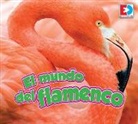 John Willis - El Mundo del Flamenco