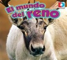 John Willis - El Mundo del Reno