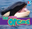 Eric Doty - Todo Sobre Las Orcas