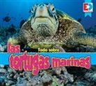 Katie Gillespie - Todo Sobre Las Tortugas Marinas