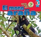 Katie Gillespie - Animales de la Selva Amazónica -- El Mono Araña
