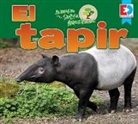 Katie Gillespie - Animales de la Selva Amazónica -- El Tapir