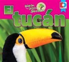 Katie Gillespie - Animales de la Selva Amazónica -- El Tucán