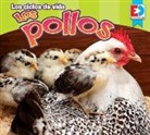 Maria Koran - Los Ciclos de Vida -- Los Pollos