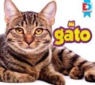 Katie Gillespie - Mi Gato