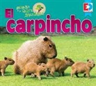 Katie Gillespie - Animales de la Selva Amazónica -- El Carpincho