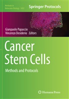 Desiderio, Desiderio, Vincenzo Desiderio, Gianpaol Papaccio, Gianpaolo Papaccio - Cancer Stem Cells