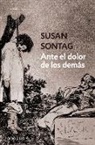 Susan Sontag - Ante el dolor de los demas / Regarding the Pain of Others