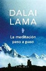 Dalai Lama - La meditacion paso a paso / Stages of Meditation