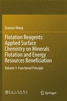 Dianzuo Wang - Flotation Reagents: Applied Surface Chemistry on Minerals Flotation and Energy Resources Beneficiation