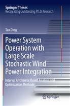 Tao Ding - Power System Operation with Large Scale Stochastic Wind Power Integration