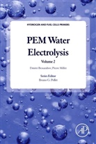 Dmitri Bessarabov, Dmitri (Director Bessarabov, Bessarabov Dmitri, Pierre Millet, Pierre (Professor Millet, Millet Pierre... - Pem Water Electrolysis