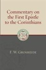 F W Grosheide, F. W. Grosheide - Commentary on the First Epistle to the Corinthians