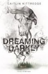 Caitlin Kittredge - Dreaming Darkly