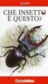Heiko Bellmann - Che insetto è questo?