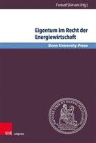 Foroud Shirvani, Forou Shirvani, Foroud Shirvani - Eigentum im Recht der Energiewirtschaft