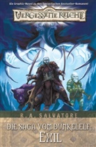 Robert A. Salvatore, Tim Seeley - Vergessene Reiche, Die Saga vom Dunkelelf - 2: Exil