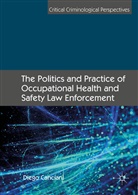 Diego Canciani - The Politics and Practice of Occupational Health and Safety Law Enforcement
