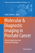 Heid Schatten, Heide Schatten - Molecular & Diagnostic Imaging in Prostate Cancer