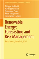 Philippe Drobinski, Mathild Mougeot, Mathilde Mougeot, Dominique Picard, Dominique Picard et al, Riwal Plougonven... - Renewable Energy: Forecasting and Risk Management