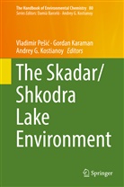 Andrey G Kostianoy, Gorda Karaman, Gordan Karaman, Andrey G. Kostianoy, Vladimir Pe¿i¿, Vladimir Pesic... - The Handbook of Environmental Chemistry - 80: The Skadar/Shkodra Lake Environment