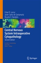 Bardal, Ricardo H. Bardales, Cesar Lacruz, César Lacruz, César R Lacruz, César R. Lacruz... - Central Nervous System Intraoperative Cytopathology