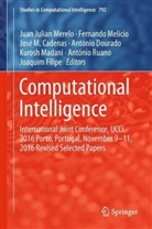 José M. Cadenas, António Dourado, Joaquim Filipe, José M Cadenas et al, Kurosh Madani, Fernand Melício... - Computational Intelligence