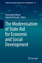 Di Pascale, Di Pascale, Alessia Di Pascale, Brun Nascimbene, Bruno Nascimbene, Alessia Di Pascale - The Modernisation of State Aid for Economic and Social Development