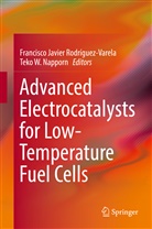 Francisc Javier Rodríguez-Varela, Francisco Javier Rodríguez-Varela, Teko Napporn, Teko W. Napporn, Francisco Javier Rodríguez-Varela, W Napporn... - Advanced Electrocatalysts for Low-Temperature Fuel Cells