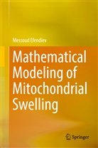 Messoud Efendiev - Mathematical Modeling of Mitochondrial Swelling