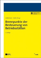Julia Braun, Silvan Burger, Bastian Euler, Christia Handke, Christian Handke, Arn Hecht... - Brennpunkte der Besteuerung von Betriebsstätten
