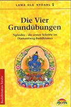 Ole Nydahl - Die Vier Grundübungen