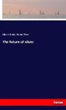 Robert Stein, Eduar Suess, Eduard Suess - The future of silver