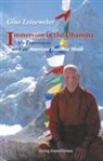 Gino Leineweber - Immersion in the Dhamma