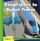 Jennifer Colby - Kingfishers to Bullet Trains