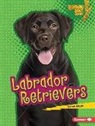 Sarah Frank - Labrador Retrievers