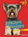 Sarah Frank - Yorkshire Terriers